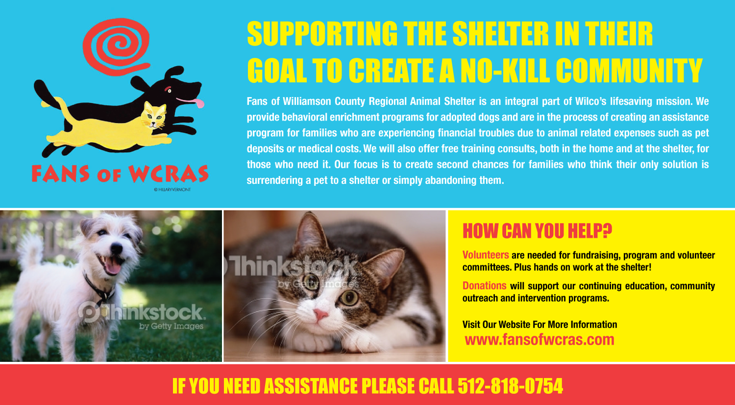 Postcard Design by uniquedesign10 for this project | Design #9736120