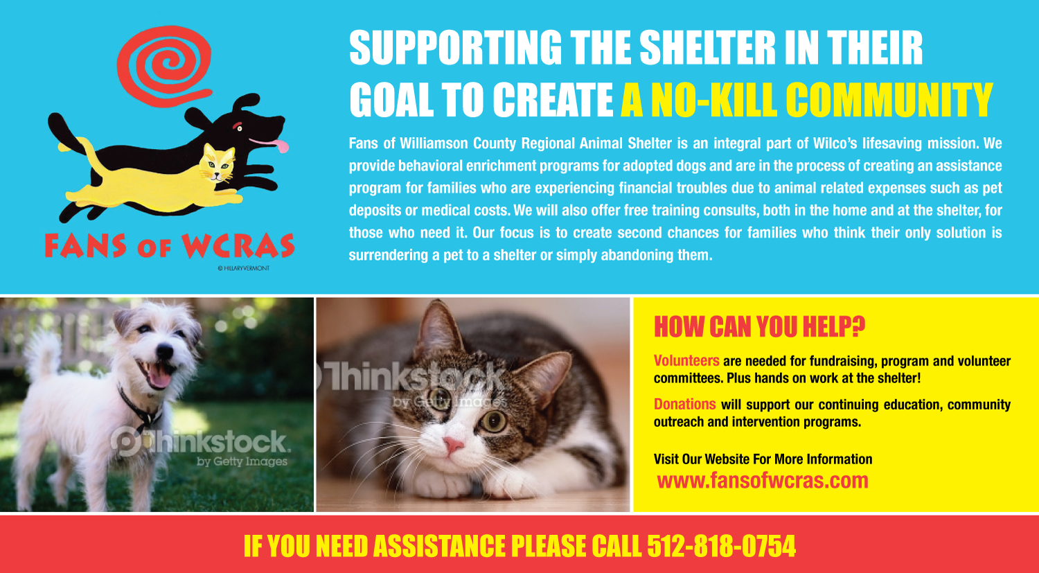 Postcard Design by uniquedesign10 for this project | Design #9736121