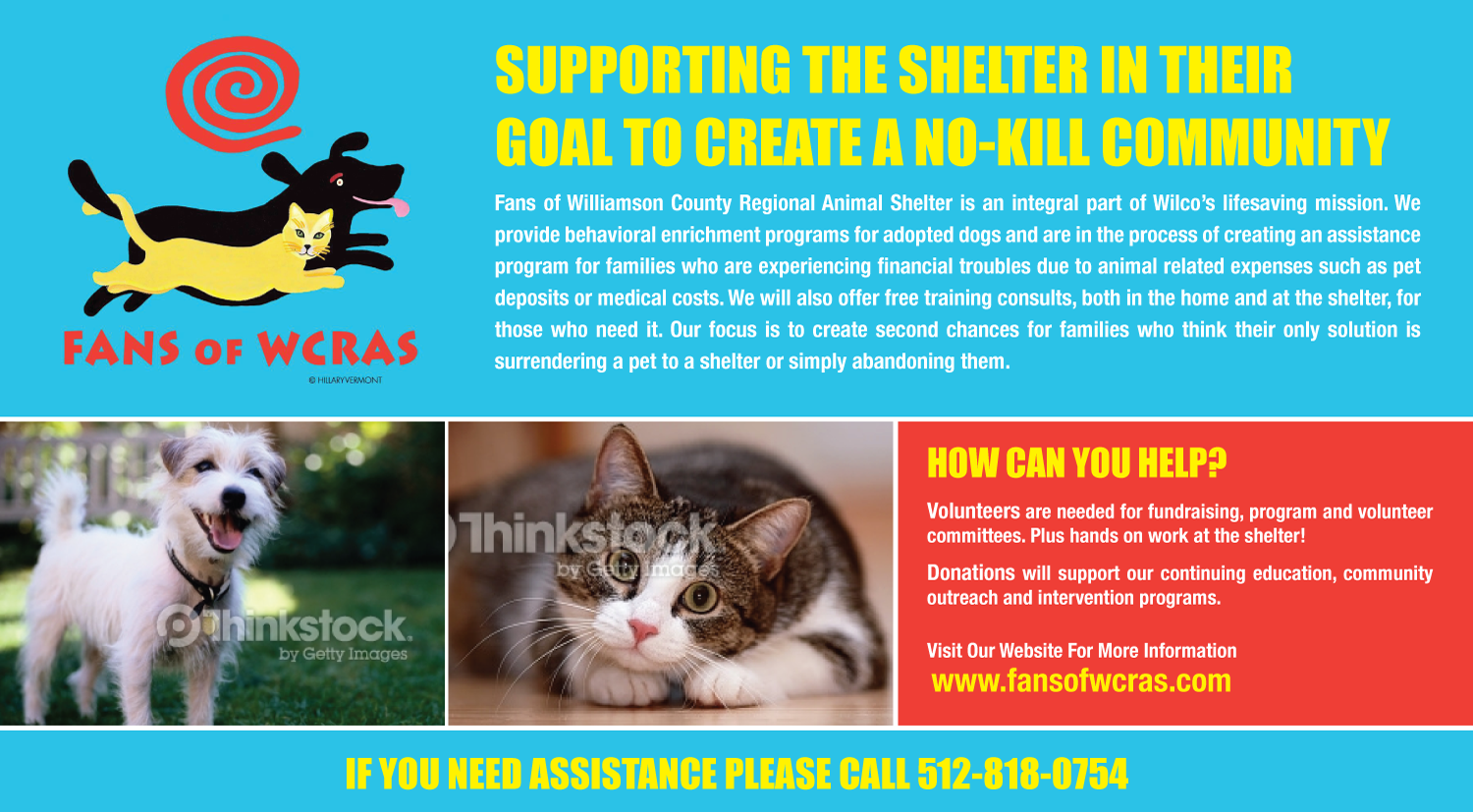 Postcard Design by uniquedesign10 for this project | Design #9736136