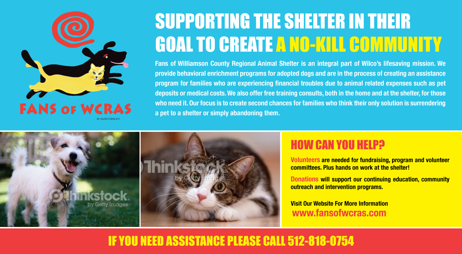 Postcard Design by uniquedesign10 for this project | Design #9736246