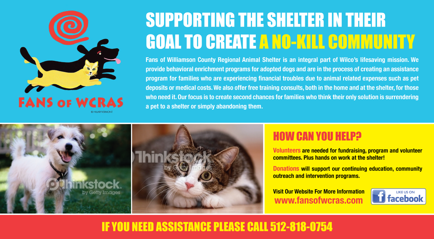 Postcard Design by uniquedesign10 for this project | Design #9736307