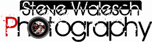 Logo Design by dispatrick