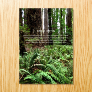 Catalogue Design by barinix for this project | Design: #9929730