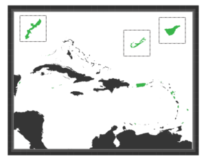 Design de T-shirt par Kristina Andonoff pour ce projet | Design : #9790144