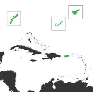 Design de T-shirt par Kristina Andonoff pour ce projet | Design : #9790150