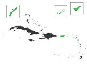 Design de T-shirt par Kristina Andonoff pour ce projet | Design : #9797526