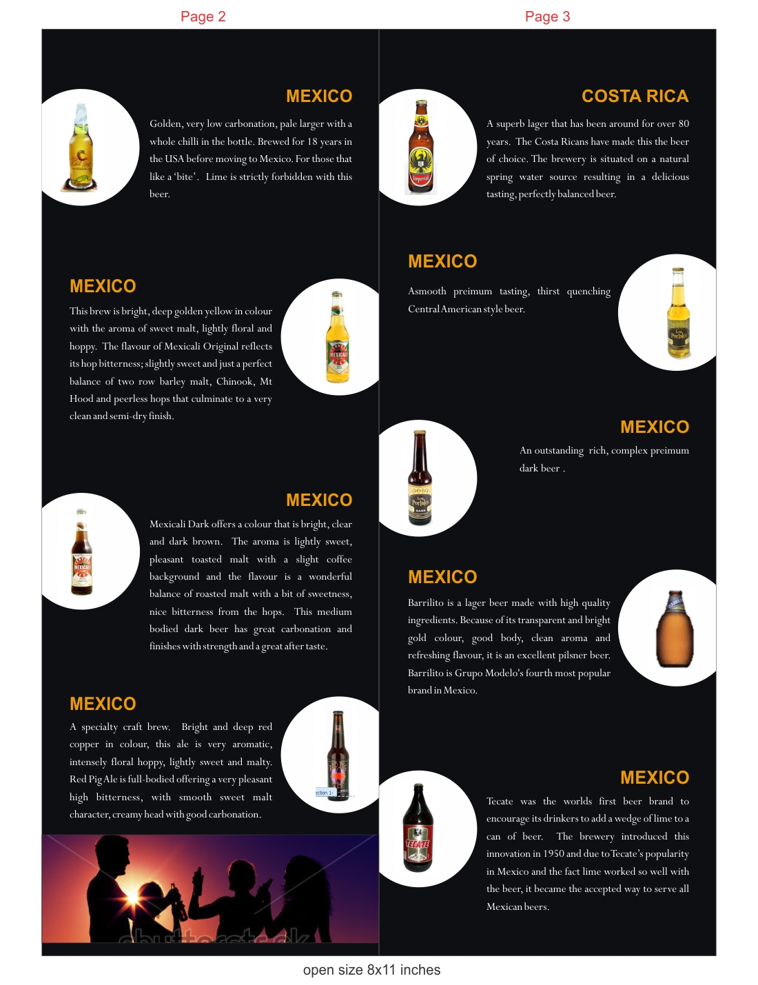 Brochure Design by Ramaling Belkote for Black Magic Beer Distribution | Design #2112822