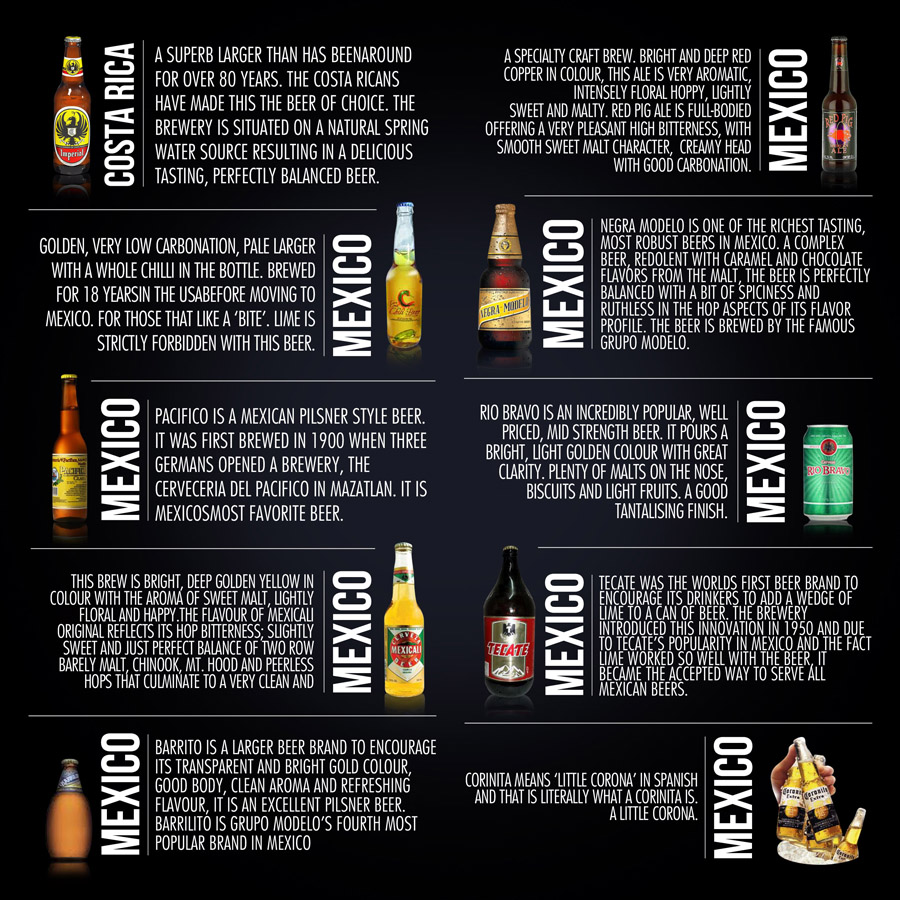 Brochure Design by One Day Graphics for Black Magic Beer Distribution | Design: #2141026