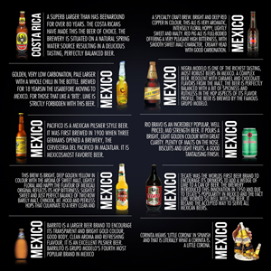 Beer Brochure Design Project
