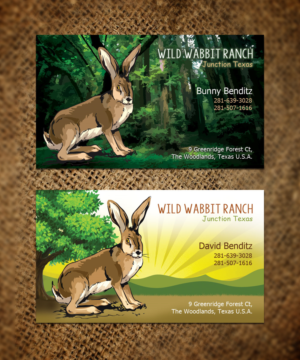 Business Card Design by Sandaruwan for this project | Design #9757027