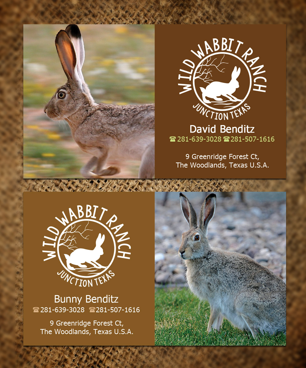 Business Card Design by Sandaruwan for this project | Design #9760245