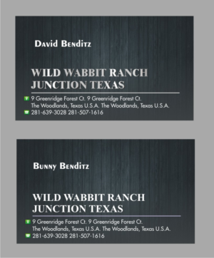 Business Card Design by yadavsushil for this project | Design #9792783