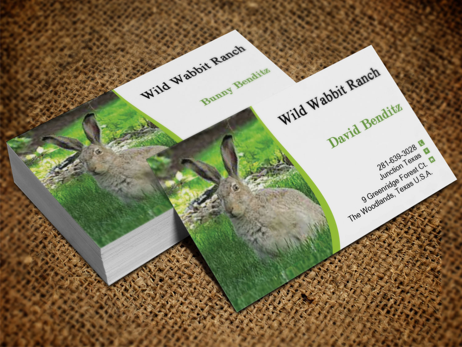 Business Card Design by Lanka Ama for this project | Design #9758093