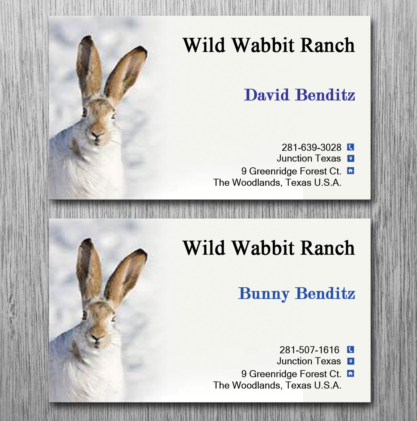 Business Card Design by Lanka Ama for this project | Design #9758095