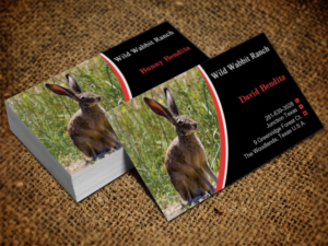 Business Card Design by Lanka Ama for this project | Design: #9758097