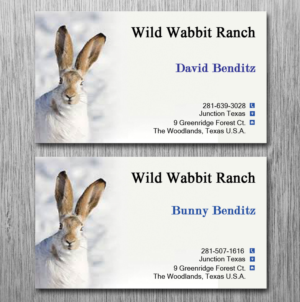 Business Card Design by Lanka Ama for this project | Design: #9758106