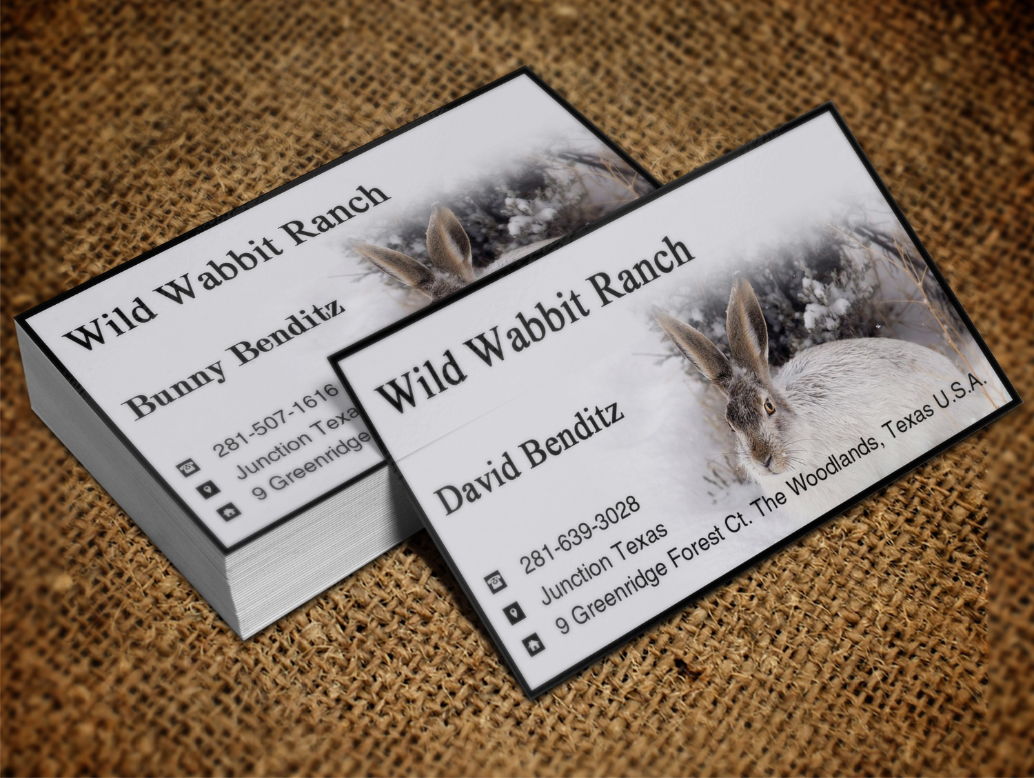 Business Card Design by Lanka Ama for this project | Design #9758109