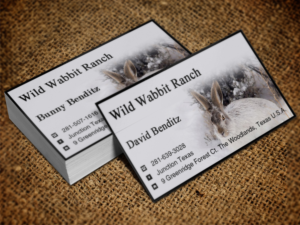 Business Card Design by Lanka Ama for this project | Design: #9758109