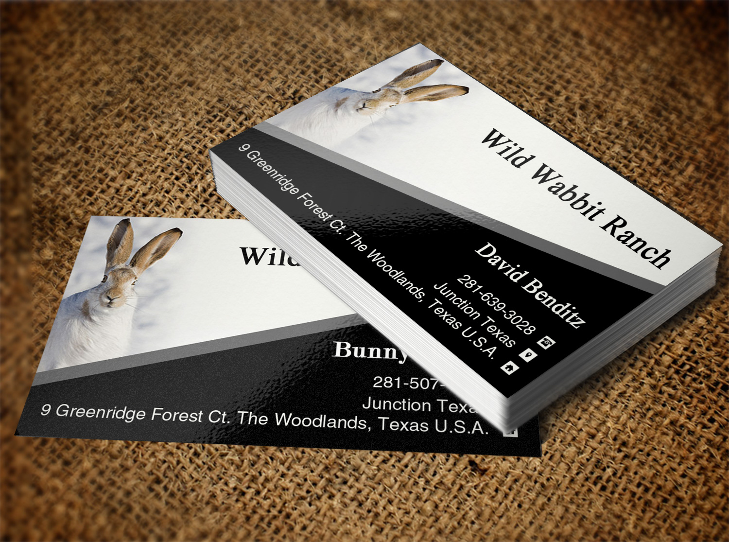 Business Card Design by Lanka Ama for this project | Design #9758111