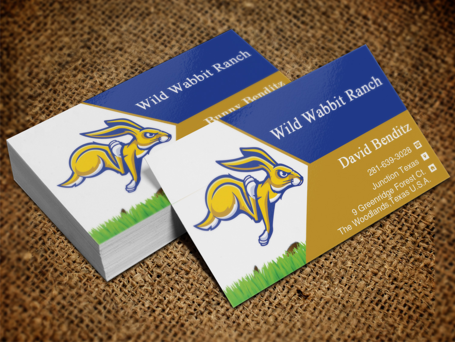 Business Card Design by Lanka Ama for this project | Design #9758112