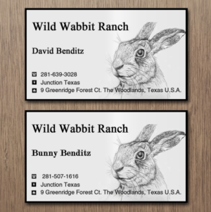 Business Card Design by Lanka Ama for this project | Design: #9758113