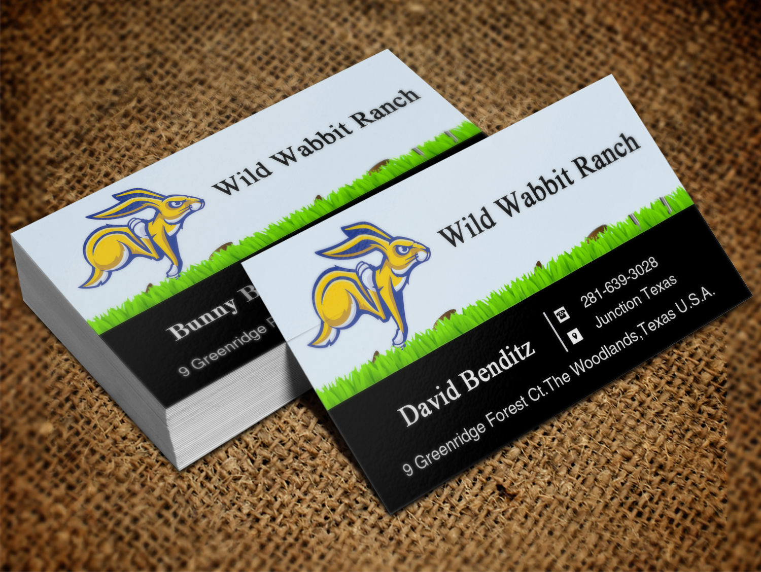 Business Card Design by Lanka Ama for this project | Design #9758115