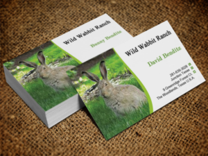 Business Card Design by Lanka Ama for this project | Design: #9758117