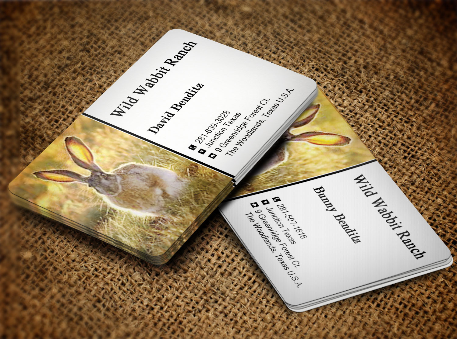 Business Card Design by Lanka Ama for this project | Design #9758119