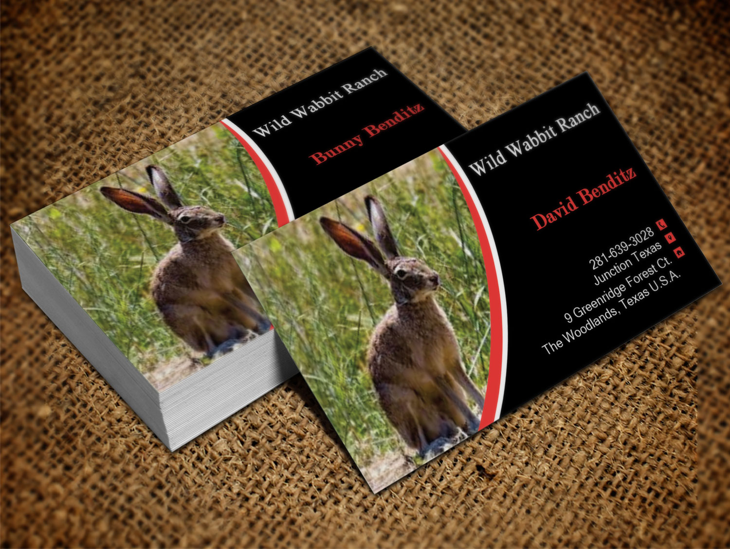 Business Card Design by Lanka Ama for this project | Design #9758122