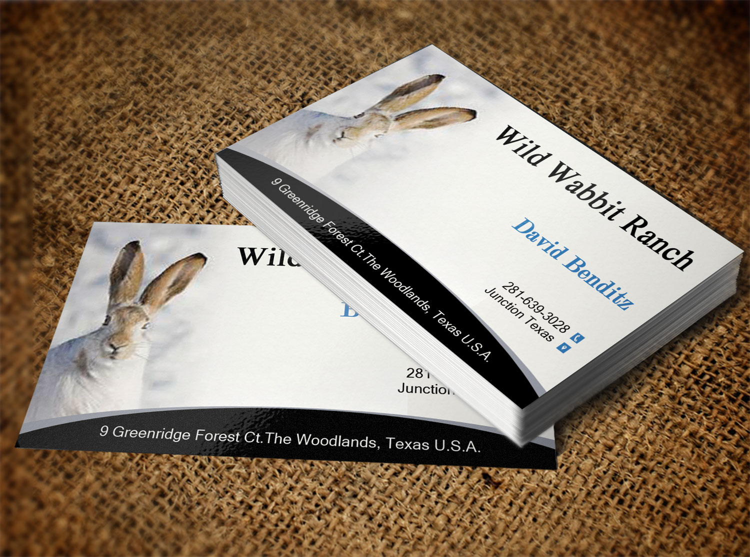 Business Card Design by Lanka Ama for this project | Design #9758123