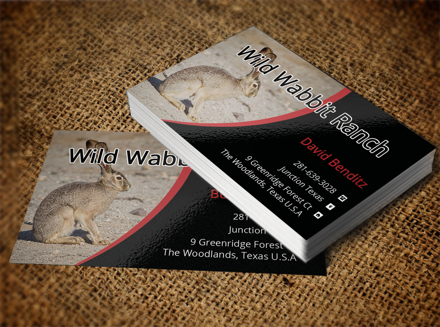 Business Card Design by Lanka Ama for this project | Design #9758124