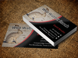 Business Card Design by Lanka Ama for this project | Design: #9758124