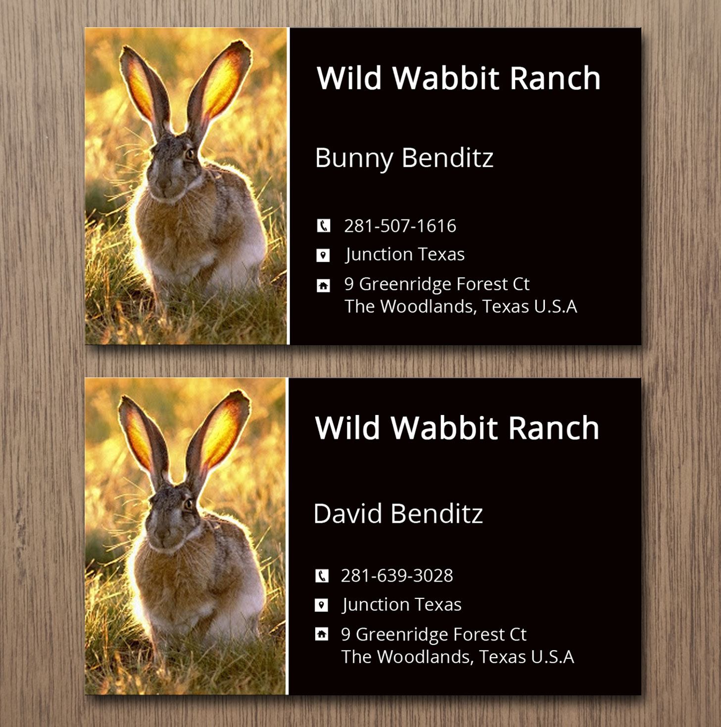 Business Card Design by Lanka Ama for this project | Design #9758127