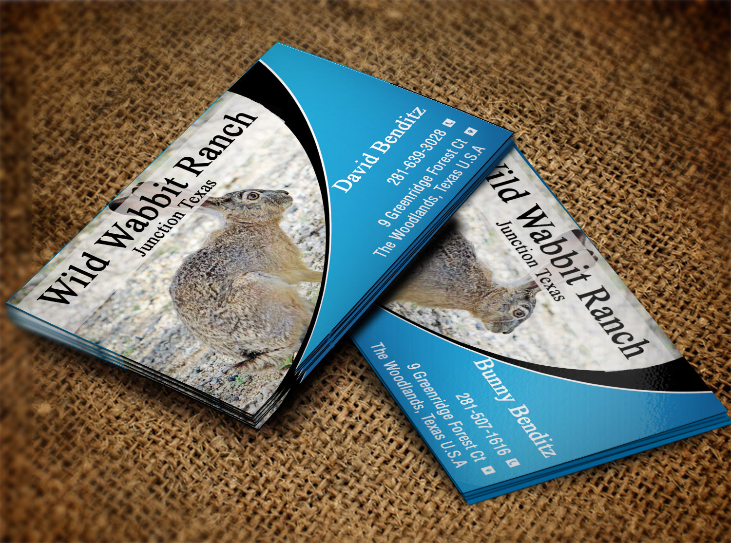 Business Card Design by Lanka Ama for this project | Design #9758128