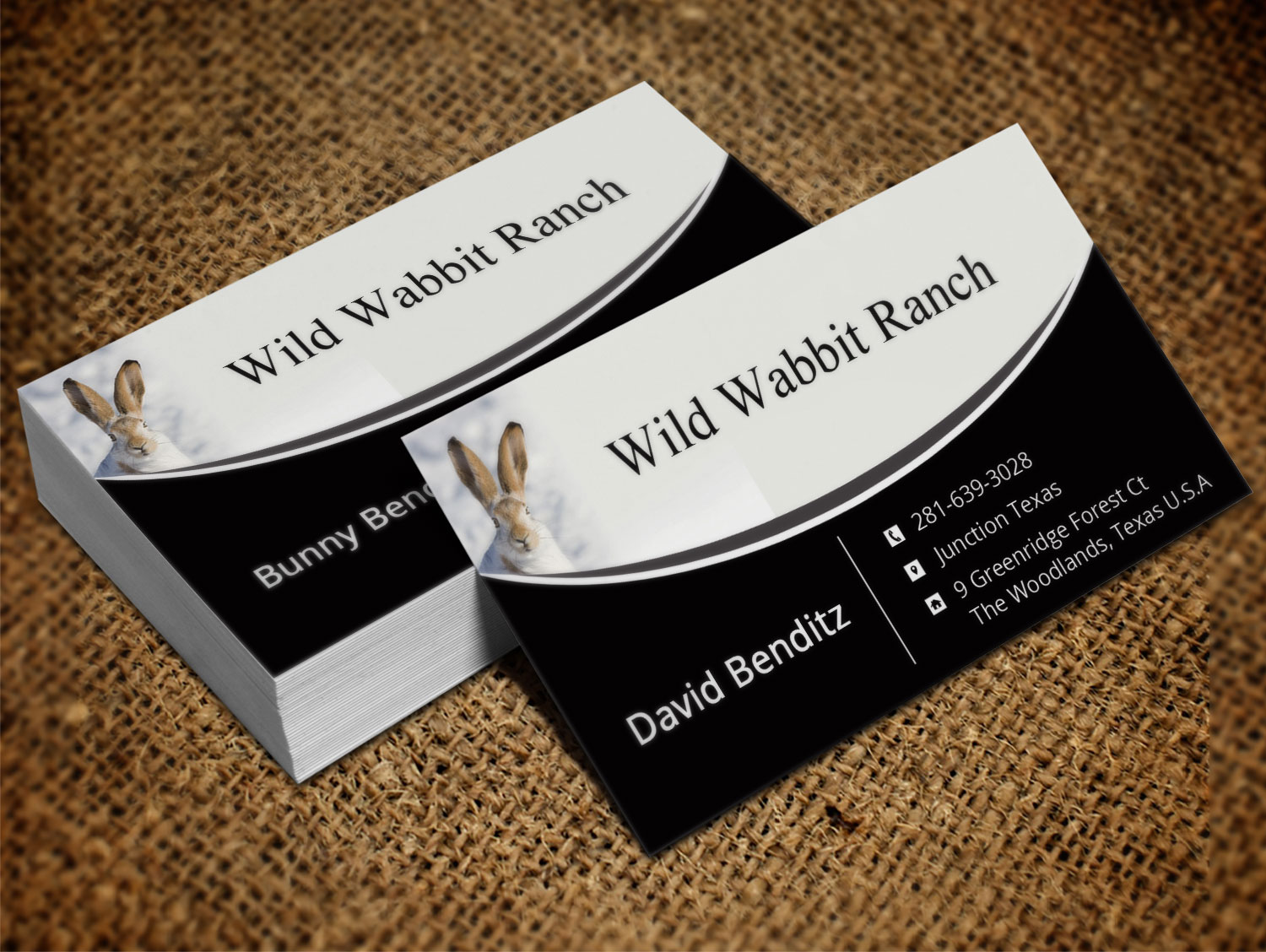 Business Card Design by Lanka Ama for this project | Design #9758129