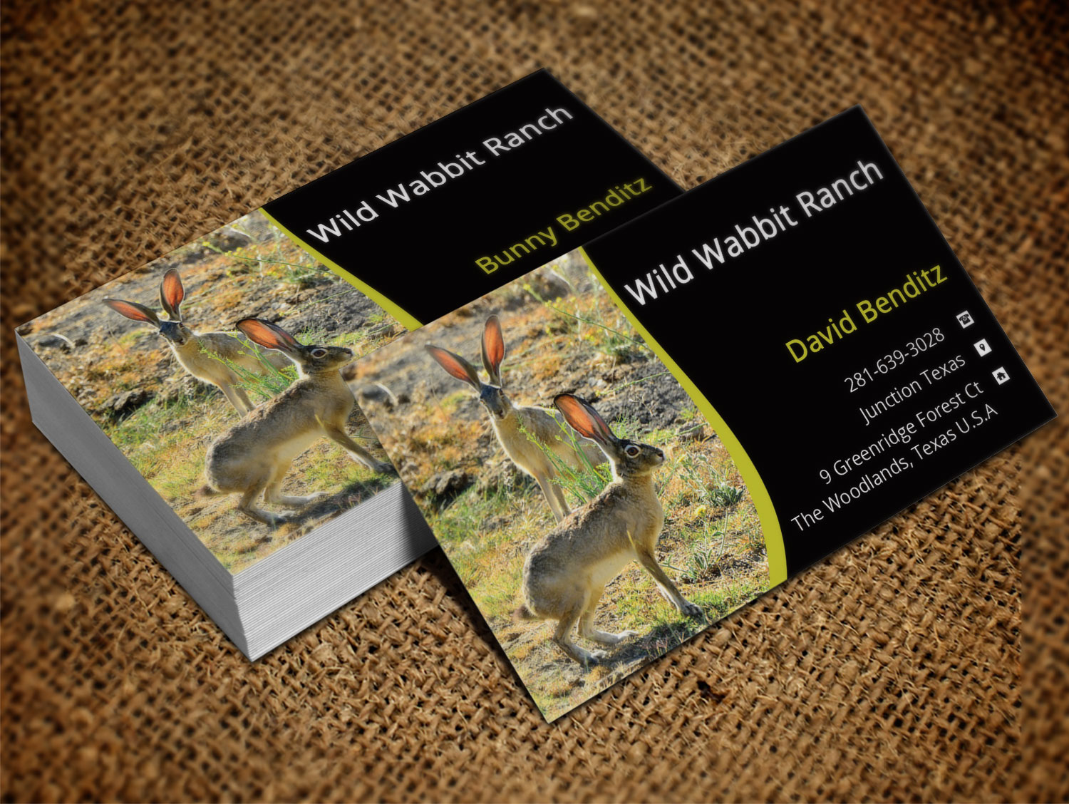 Design de Carte de Visite par Lanka Ama pour ce projet | Design #9758130