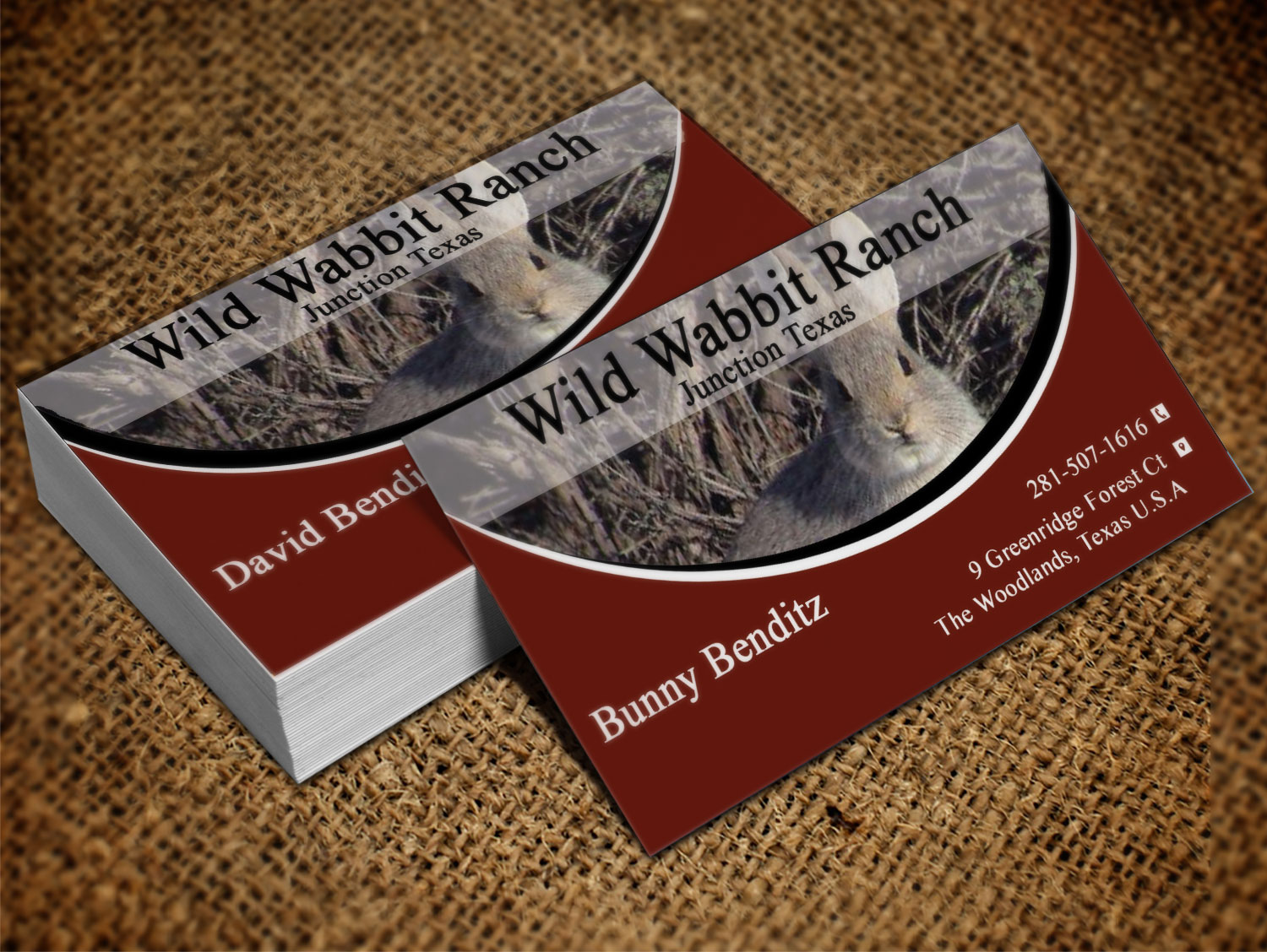 Diseño de Tarjeta de Presentación por Lanka Ama para este proyecto | Diseño #9758131