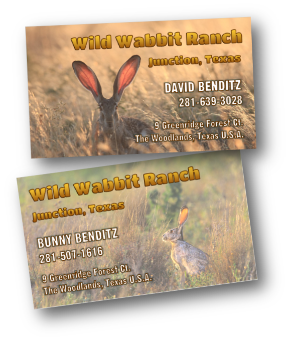 Business Card Design by citygirl17 for this project | Design #9780072