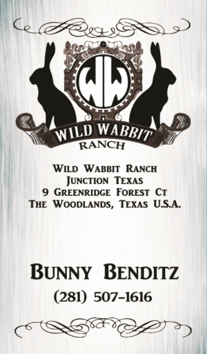 Business Card Design by adamplitt for this project | Design: #9797569