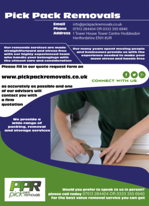 Flyer Design by Sentinelgre