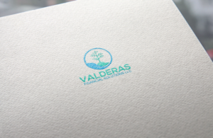 Logo Design by Mehedi Hasan ™ for Valderas Financial Solutions LLC | Design: #9748309