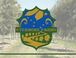 Logo Design by goranvisnjic82 for this project | Design: #9759016