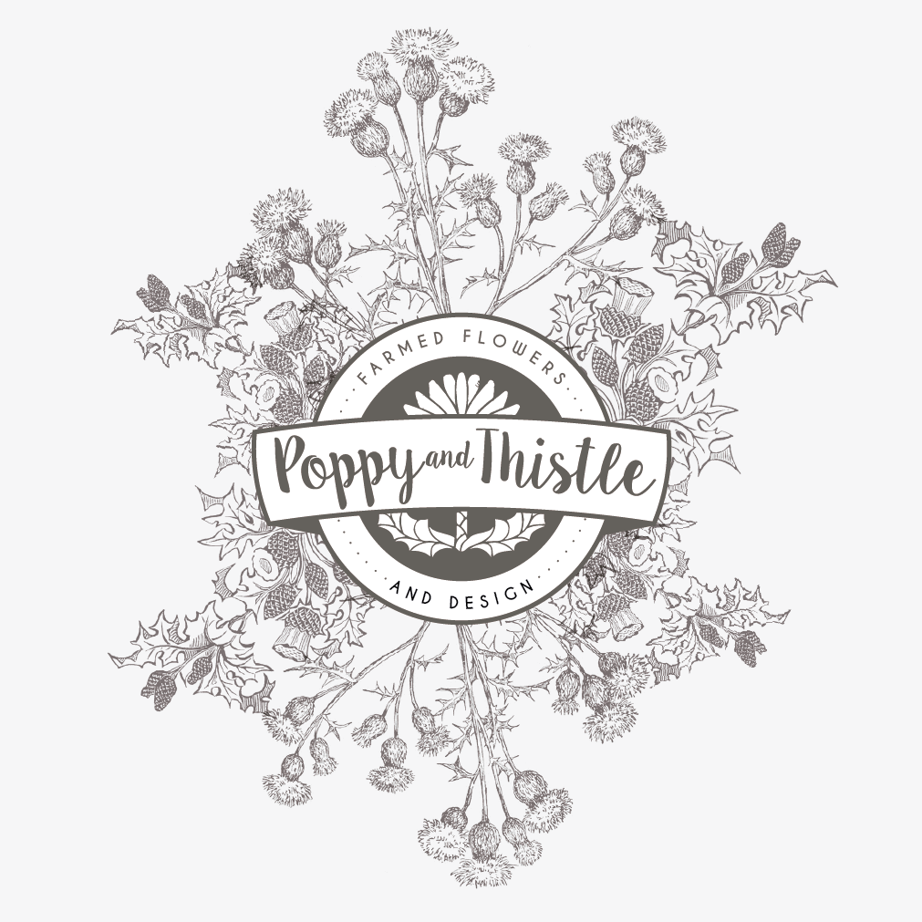 Logo Design by RFH for this project | Design #9874800