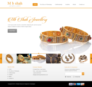 Web Design by Designtraffix