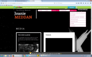 Web Design by sudhir.chawan2015 for CHERISH THE LADIES INC. | Design: #9810942