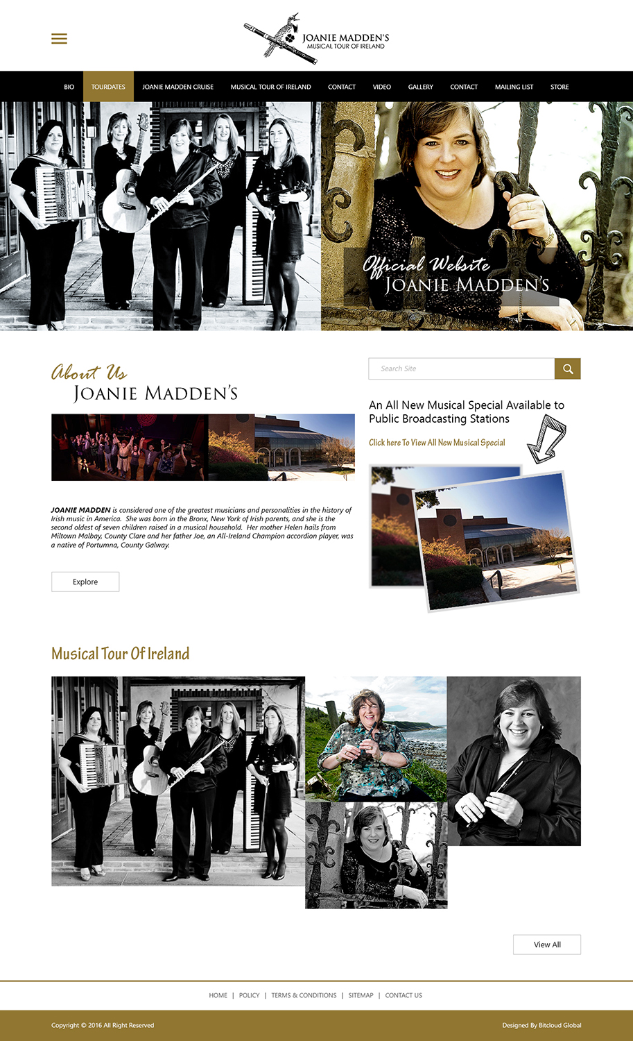 Web Design by BitCloudGlobal for CHERISH THE LADIES INC. | Design #9873361