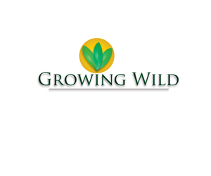 Logo Design by TimJackiw