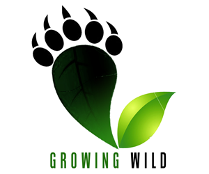 Logo Design by Muhammad Abdullah