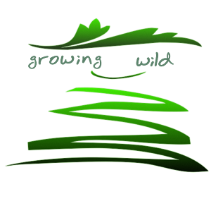 Logo Design by Myls