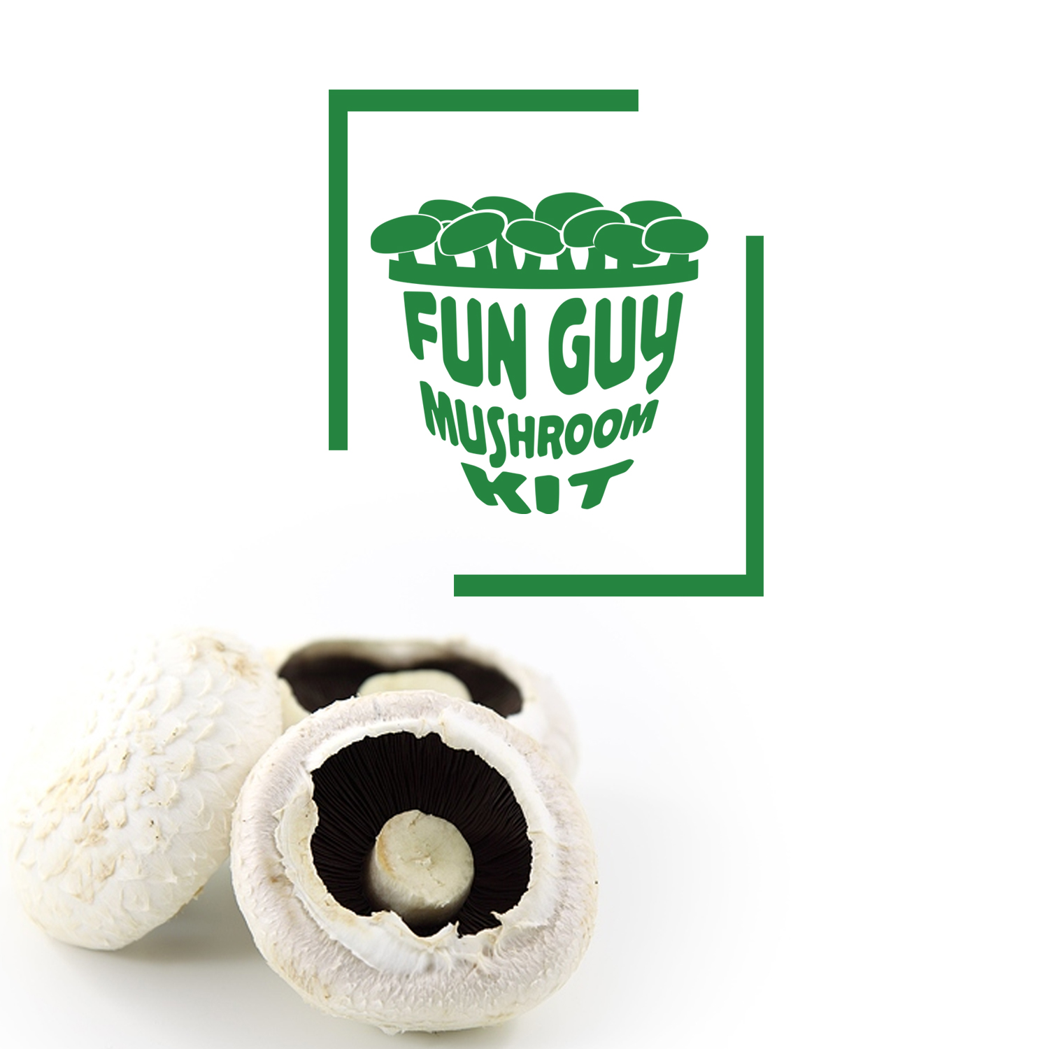 Diseño de Logo por uk para +61882806443 | Diseño #9802406